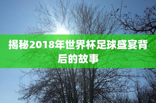 揭秘2018年世界杯足球盛宴背后的故事