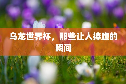 乌龙世界杯，那些让人捧腹的瞬间洛阳市法福文化传播有限公司
