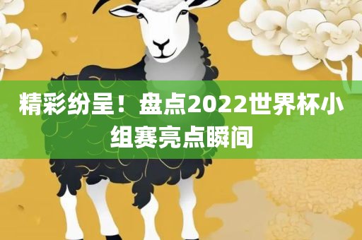 精彩纷呈！盘点2022世界杯小组赛亮点瞬间洛阳市法福文化传播有限公司