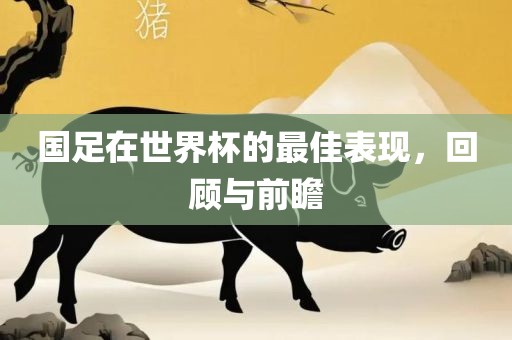 国足在世界杯的最佳表现，回顾与前瞻