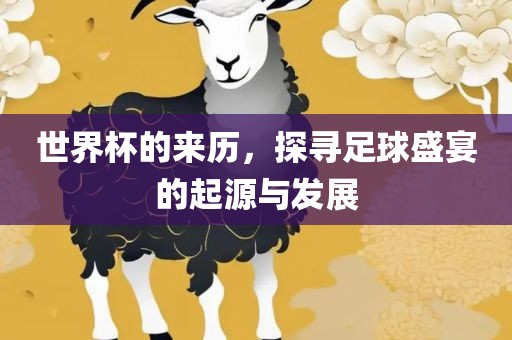 世界杯的来历，探寻足球盛宴的起源与发展