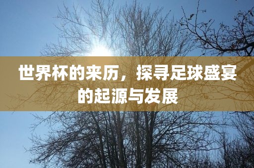 世界杯的来历，探寻足球盛宴的起源与发展洛阳市法福文化传播有限公司