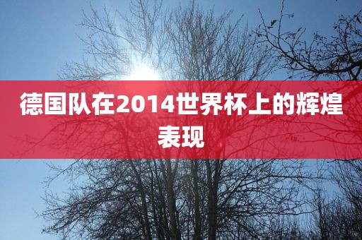 德国队在2014世界杯上的辉煌表现