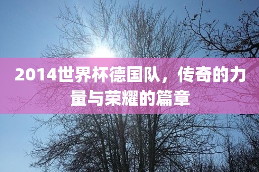 2014世界杯德国队，传奇的力量与荣耀的篇章