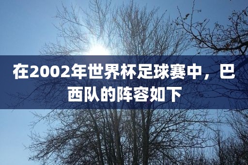 在2002年世界杯足球赛中，巴西队的阵容如下洛阳市法福文化传播有限公司