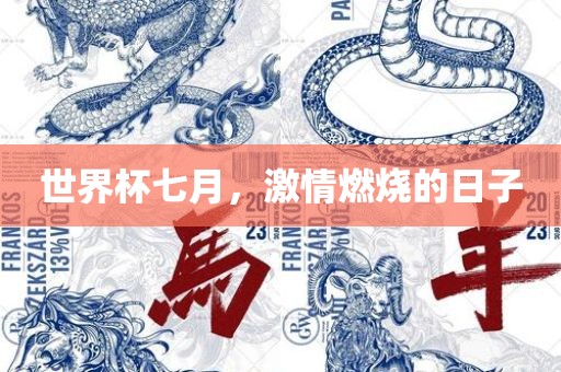 世界杯七月，激情燃烧的日子