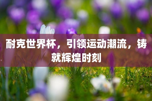 耐克世界杯，引领运动潮流，铸就辉煌时刻洛阳市法福文化传播有限公司