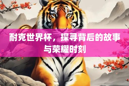 耐克世界杯，探寻背后的故事与荣耀时刻洛阳市法福文化传播有限公司