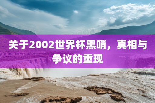 关于2002世界杯黑哨，真相与争议的重现洛阳市法福文化传播有限公司