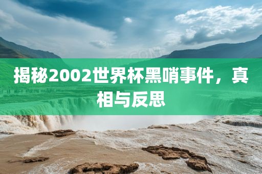 揭秘2002世界杯黑哨事件，真相与反思