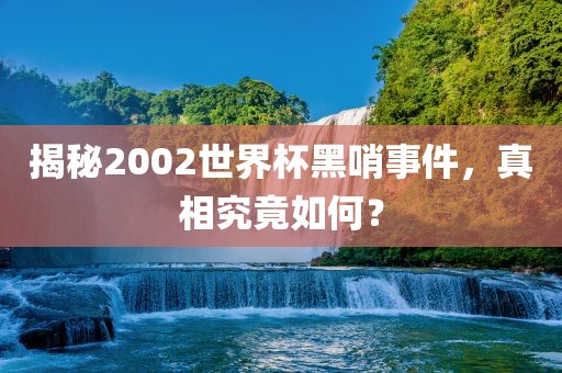 揭秘2002世界杯黑哨事件，真相究竟如何？
