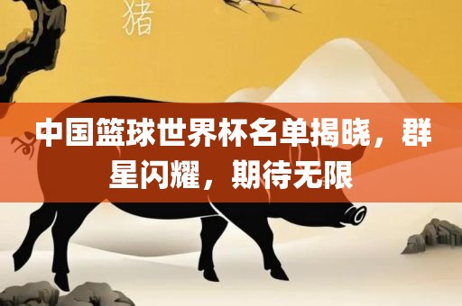 中国篮球世界杯名单揭晓，群星闪耀，期待无限