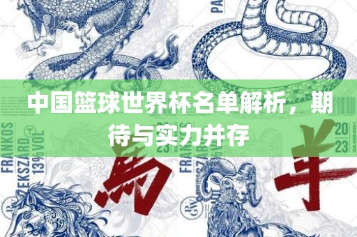 中国篮球世界杯名单解析，期待与实力并存