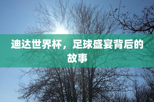 迪达世界杯，足球盛宴背后的故事洛阳市法福文化传播有限公司