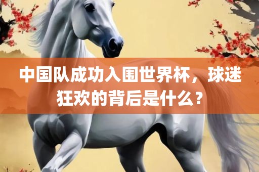 中国队成功入围世界杯，球迷狂欢的背后是什么？