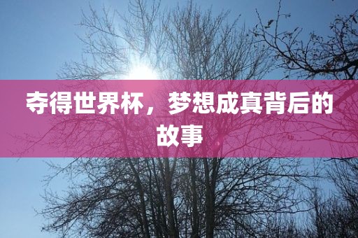 zhengliyun 第4页