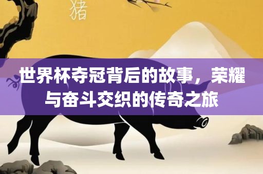 世界杯夺冠背后的故事，荣耀与奋斗交织的传奇之旅