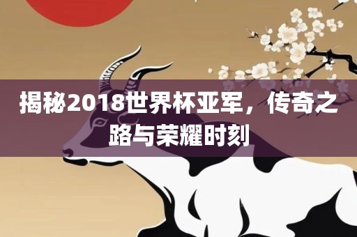 揭秘2018世界杯亚军，传奇之路与荣耀时刻