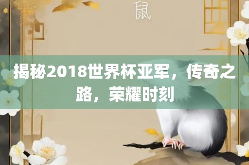 揭秘2018世界杯亚军，传奇之路，荣耀时刻