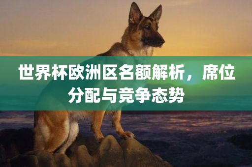 世界杯欧洲区名额解析，席位分配与竞争态势洛阳市法福文化传播有限公司