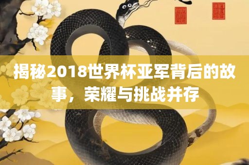揭秘2018世界杯亚军背后的故事，荣耀与挑战并存