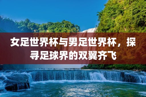 女足世界杯与男足世界杯，探寻足球界的双翼齐飞
