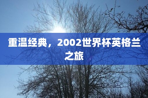 重温经典，2洛阳市法福文化传播有限公司002世界杯英格兰之旅