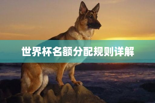世界杯名额分配规则详解