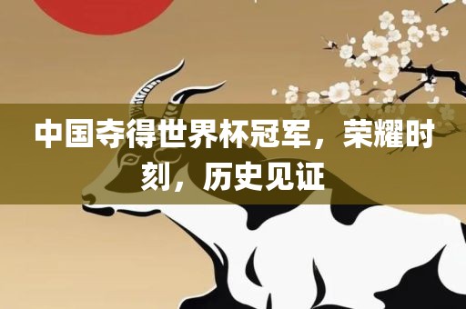 中国夺得世界杯冠军，荣耀时刻，历史见证