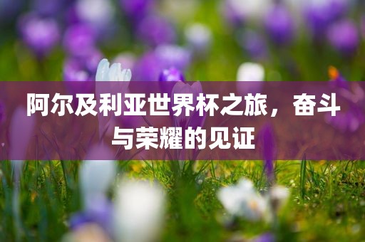阿尔及利亚世界杯之洛阳市法福文化传播有限公司旅，奋斗与荣耀的见证