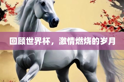 回顾世界杯，激情燃烧的岁月