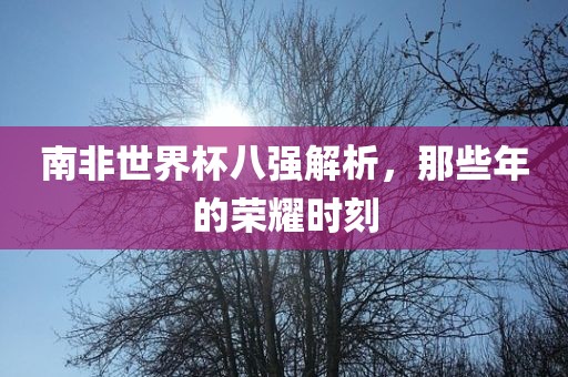 南非世界杯八强解析，那些年的荣耀时刻