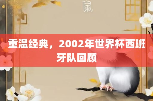 重温经典，2002年世界杯西班牙队回顾洛阳市法福文化传播有限公司