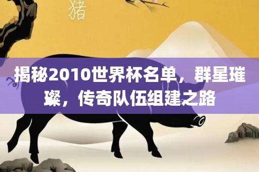 揭秘2010世界杯名单，群星璀璨，传奇队伍组建之路