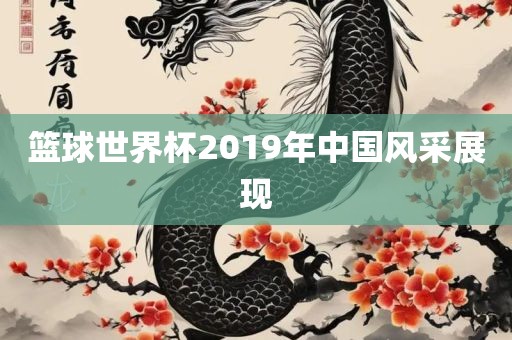 篮球世界杯2019年中国风采展现