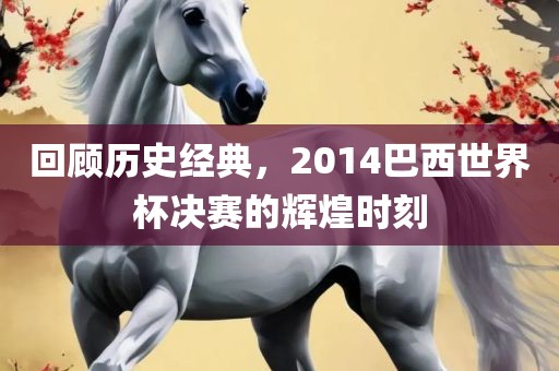 回顾历史经典，2014巴西世界杯决赛的辉煌时刻