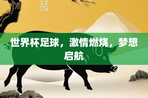 世界杯足球，激情燃烧，梦想启航