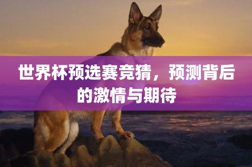世界杯预选赛竞猜，预测背后的激情与期待
