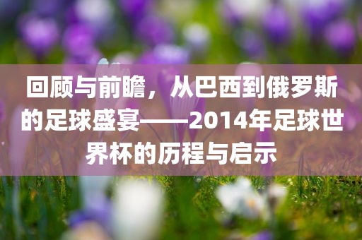 回顾与前瞻，从巴西到俄罗斯的足球盛宴——2014年足球世界杯的历程与启示
