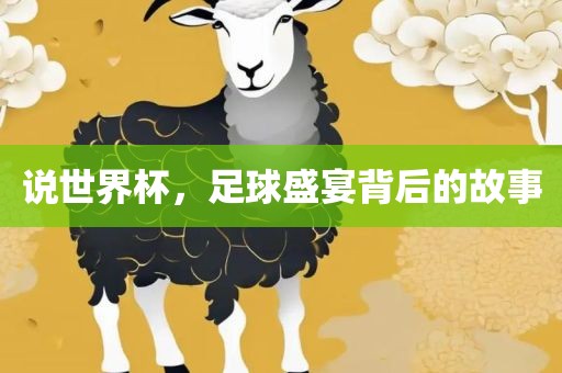 说世界杯，足球盛宴背后的故事洛阳市法福文化传播有限公司