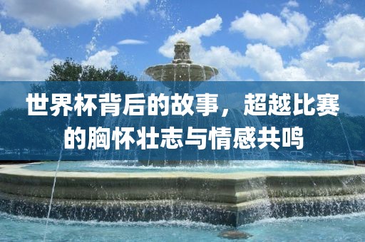 世界杯背后的故事，超越比赛的胸怀壮志与情感共鸣洛阳市法福文化传播有限公司