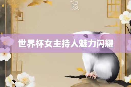 世界杯女主持人魅力闪耀
