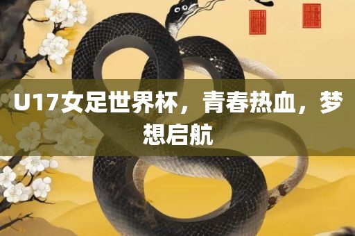 U17女足世界杯，青春热血，梦想启航