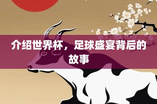 介绍世界杯，足球盛宴背后的故事洛阳市法福文化传播有限公司