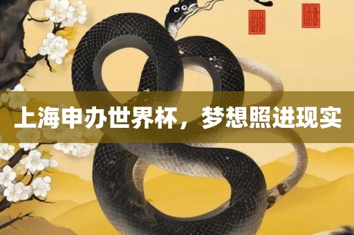 上海申办世界杯，梦想照进现实
