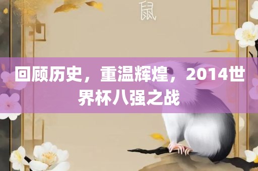 回顾历史，重温辉煌，2014世界杯八强之战洛阳市法福文化传播有限公司