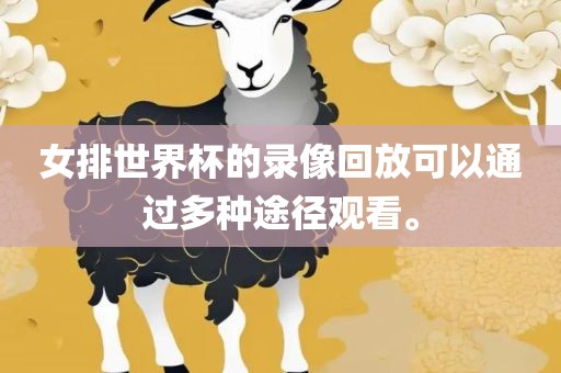 女排世界杯的录像回放可以通过多种途径观看。