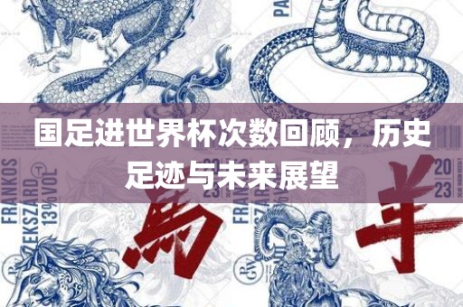 国足进世界杯次数回顾，历史足迹与洛阳市法福文化传播有限公司未来展望