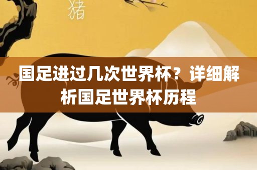 国足进过几次世界杯？详细解析国足世界杯历程