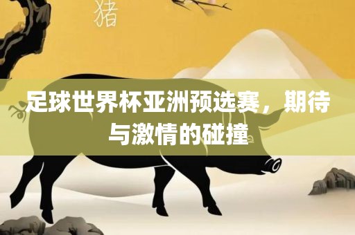 足球世界杯亚洲预选赛，期待与激情的碰撞